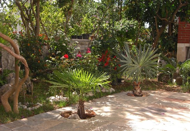 Апартаменты на Okrug Gornji - Aпартамент в Округ Горњи c Вид на море, терраса, Спутниковое / кабельное телевидение, WIFI (5046-1) Апартаменты на Okrug Gornji - Aпартамент в Округ Горњи c Вид на море, терраса, Спутниковое / кабельное телевидение, WIFI (5046-1)