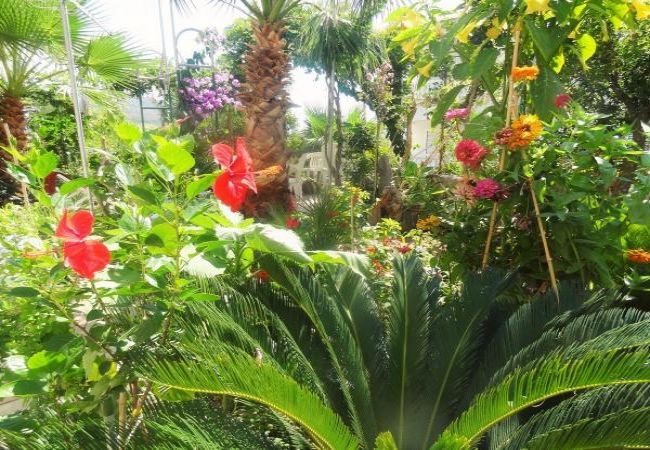 Апартаменты на Okrug Gornji - Aпартамент в Округ Горњи c Вид на море, терраса, Спутниковое / кабельное телевидение, WIFI (5046-2) Апартаменты на Okrug Gornji - Aпартамент в Округ Горњи c Вид на море, терраса, Спутниковое / кабельное телевидение, WIFI (5046-2)