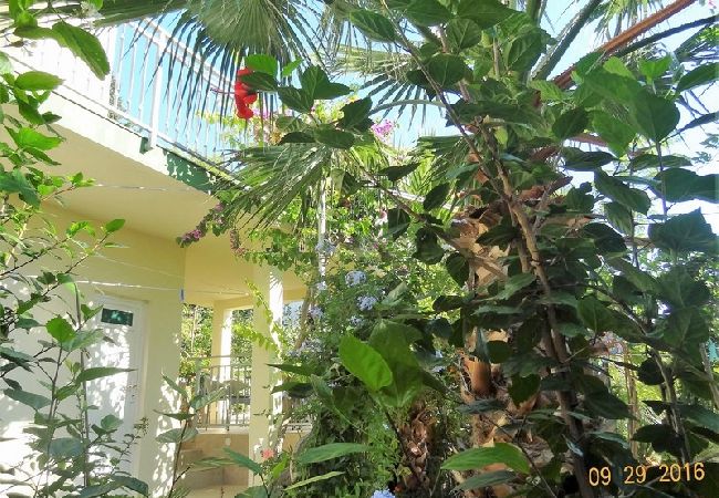 Апартаменты на Okrug Gornji - Aпартамент в Округ Горњи c Вид на море, терраса, Спутниковое / кабельное телевидение, WIFI (5046-2) Апартаменты на Okrug Gornji - Aпартамент в Округ Горњи c Вид на море, терраса, Спутниковое / кабельное телевидение, WIFI (5046-2)