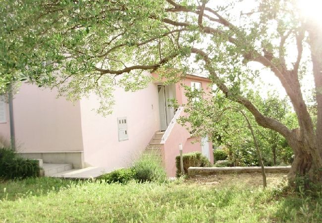 Апартаменты на Okrug Gornji - Aпартамент в Округ Горњи c терраса, Спутниковое / кабельное телевидение, WIFI, инвалидности (5048-3) Апартаменты на Okrug Gornji - Aпартамент в Округ Горњи c терраса, Спутниковое / кабельное телевидение, WIFI, инвалидности (5048-3)