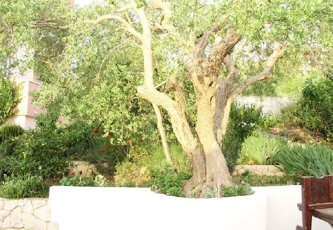 Апартаменты на Okrug Gornji - Aпартамент в Округ Горњи c балкон, Спутниковое / кабельное телевидение, WIFI, инвалидности (5048-1) Апартаменты на Okrug Gornji - Aпартамент в Округ Горњи c балкон, Спутниковое / кабельное телевидение, WIFI, инвалидности (5048-1)