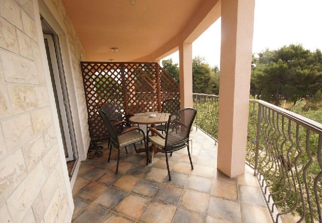 Апартаменты на Vodice - Ferienwohnung in Vodice mit Meerblick, Terrasse, Klimaanlage, W-LAN (144-2) Апартаменты на Vodice - Ferienwohnung in Vodice mit Meerblick, Terrasse, Klimaanlage, W-LAN (144-2)