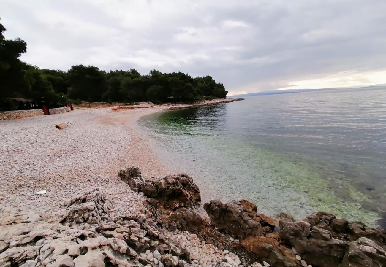 Апартаменты на Okrug Gornji - Aпартамент в Округ Горњи c Вид на море, терраса, Спутниковое / кабельное телевидение, WIFI (5160-3)