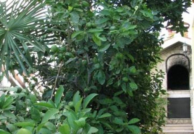 Апартаменты на Kanica - Ferienwohnung in Kanica mit Meerblick, Terrasse, Klimaanlage, W-LAN (5168-1) Апартаменты на Kanica - Ferienwohnung in Kanica mit Meerblick, Terrasse, Klimaanlage, W-LAN (5168-1)