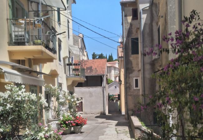 Квартира-студия на Opatija - студио Апартамент в Опатия c терраса, Спутниковое / кабельное телевидение, WIFI, Балкон / Терраса (5211-1) Квартира-студия на Opatija - студио Апартамент в Опатия c терраса, Спутниковое / кабельное телевидение, WIFI, Балкон / Терраса (5211-1)