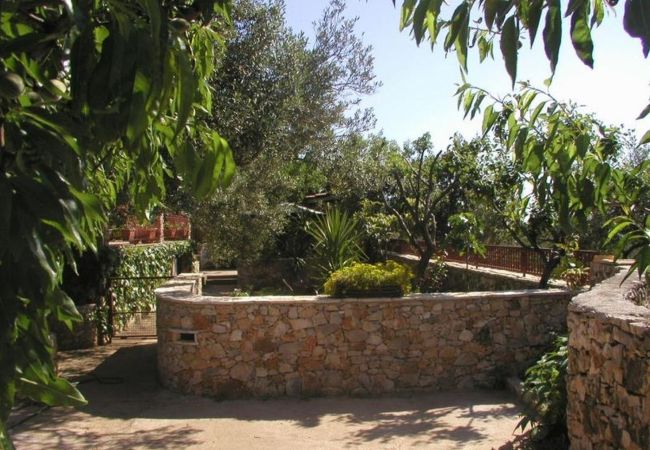 Квартира-студия на Ražanj - студио Апартамент в Ražanj c Вид на море, терраса, Спутниковое / кабельное телевидение, WIFI (4597-2) Квартира-студия на Ražanj - студио Апартамент в Ražanj c Вид на море, терраса, Спутниковое / кабельное телевидение, WIFI (4597-2)