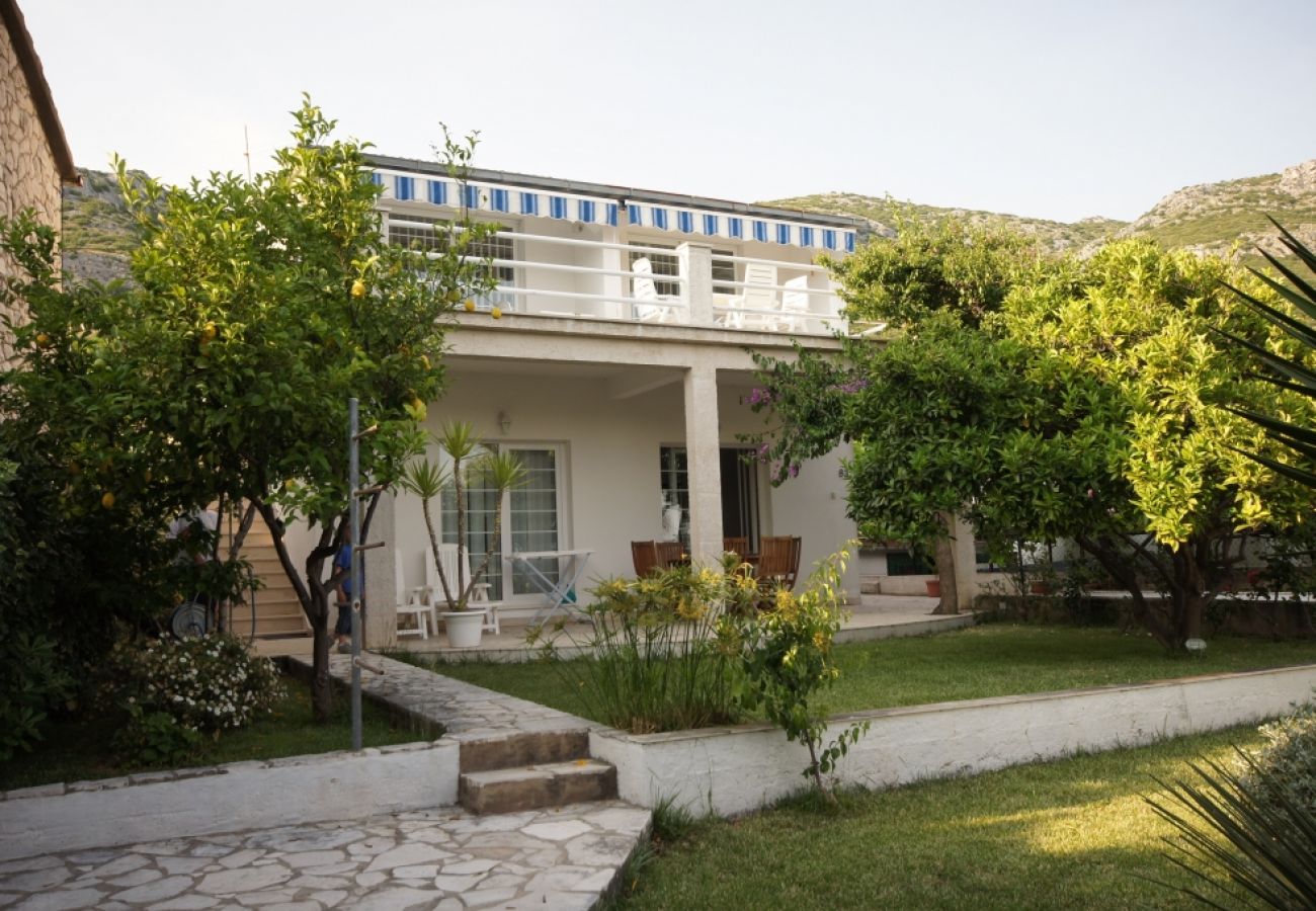 Ferienwohnung in Viganj - Ferienwohnung in Viganj mit Meerblick, Terrasse, Klimaanlage, W-LAN (22-1)