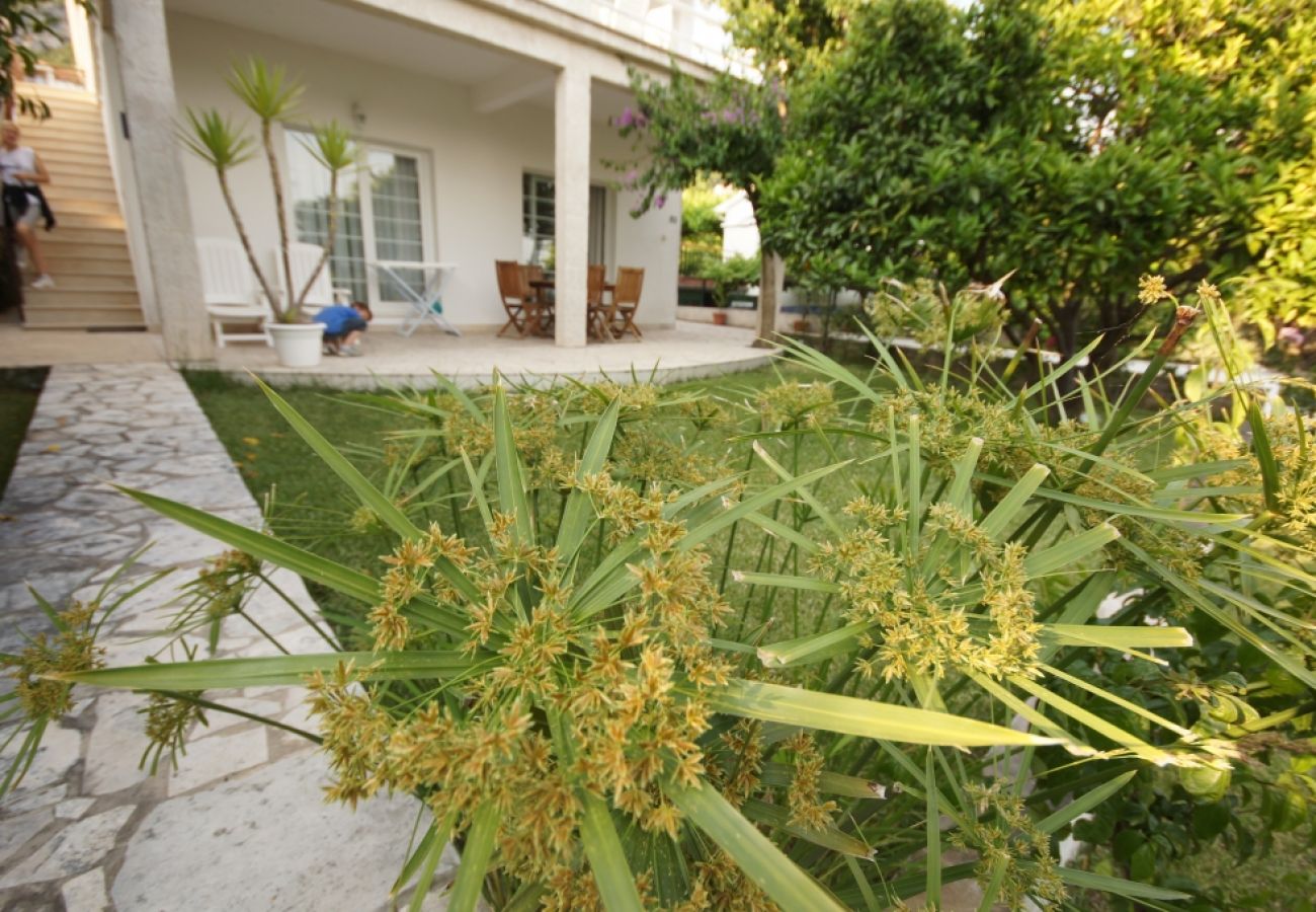 Ferienwohnung in Viganj - Ferienwohnung in Viganj mit Meerblick, Terrasse, Klimaanlage, W-LAN (22-1)