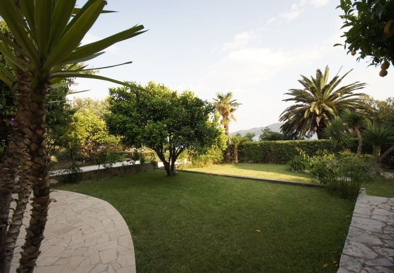 Ferienwohnung in Viganj - Ferienwohnung in Viganj mit Meerblick, Terrasse, Klimaanlage, W-LAN (22-1)