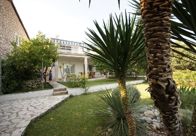 Ferienwohnung in Viganj - Ferienwohnung in Viganj mit Meerblick, Terrasse, Klimaanlage, W-LAN (22-2) Ferienwohnung in Viganj - Ferienwohnung in Viganj mit Meerblick, Terrasse, Klimaanlage, W-LAN (22-2)