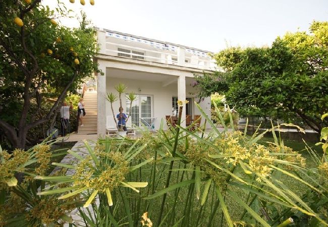 Ferienwohnung in Viganj - Ferienwohnung in Viganj mit Meerblick, Terrasse, Klimaanlage, W-LAN (22-2) Ferienwohnung in Viganj - Ferienwohnung in Viganj mit Meerblick, Terrasse, Klimaanlage, W-LAN (22-2)