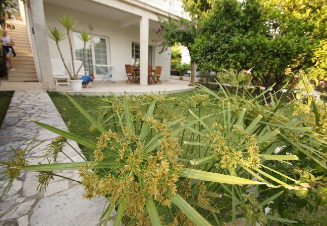 Ferienwohnung in Viganj - Ferienwohnung in Viganj mit Meerblick, Terrasse, Klimaanlage, W-LAN (22-2) Ferienwohnung in Viganj - Ferienwohnung in Viganj mit Meerblick, Terrasse, Klimaanlage, W-LAN (22-2)