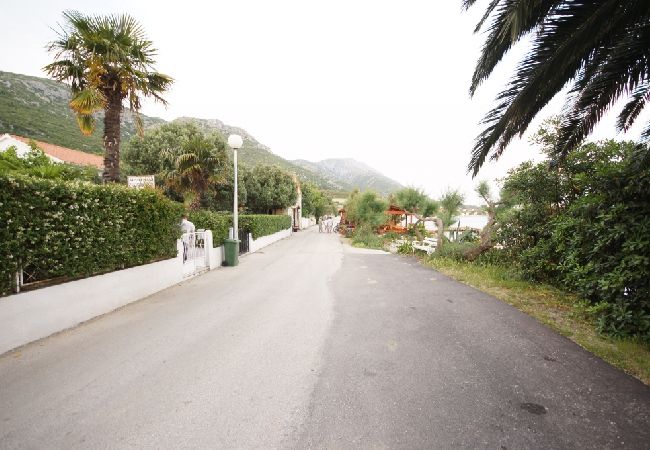 Ferienwohnung in Viganj - Ferienwohnung in Viganj mit Meerblick, Terrasse, Klimaanlage, W-LAN (22-2) Ferienwohnung in Viganj - Ferienwohnung in Viganj mit Meerblick, Terrasse, Klimaanlage, W-LAN (22-2)