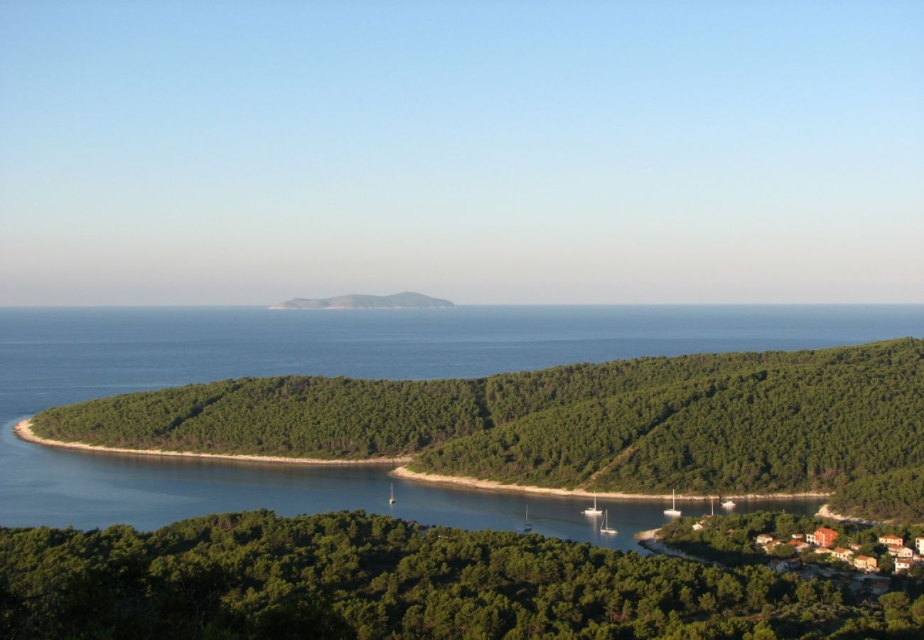 Ferienhaus in Vela Luka - Ferienhaus in Tri Porte (Potirna) mit Meerblick, Terrasse, Klimaanlage, W-LAN (39-1)