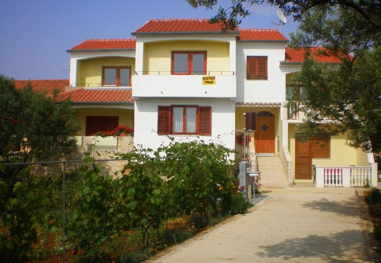 Ferienwohnung in Bibinje - Ferienwohnung in Bibinje mit Meerblick, Terrasse, Klimaanlage, W-LAN (59-1)