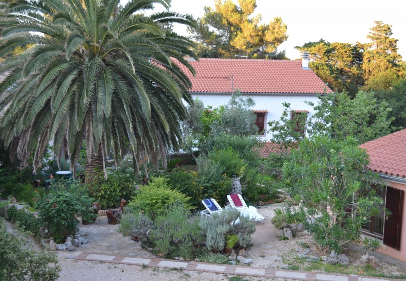 Ferienhaus in Veli Lošinj - Ferienhaus in Veli Lošinj mit Terrasse, Klimaanlage, W-LAN, Waschmaschine (63-1)