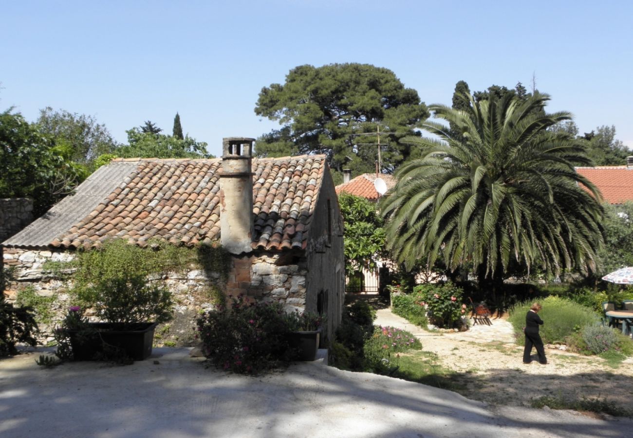 Ferienhaus in Veli Lošinj - Ferienhaus in Veli Lošinj mit Terrasse, Klimaanlage, W-LAN, Waschmaschine (63-1)