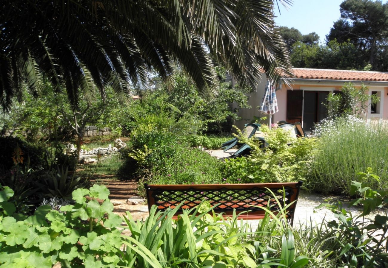 Ferienhaus in Veli Lošinj - Ferienhaus in Veli Lošinj mit Terrasse, Klimaanlage, W-LAN, Waschmaschine (63-1)