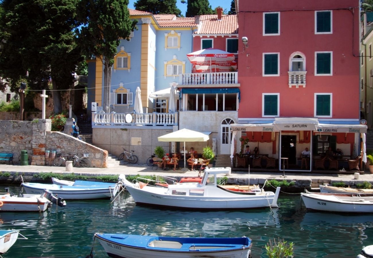 Ferienhaus in Veli Lošinj - Ferienhaus in Veli Lošinj mit Terrasse, Klimaanlage, W-LAN, Waschmaschine (63-1)