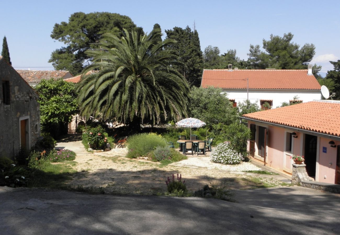 Ferienwohnung in Veli Lošinj - Ferienwohnung in Veli Lošinj mit Terrasse, Klimaanlage, W-LAN, Waschmaschine (63-2)