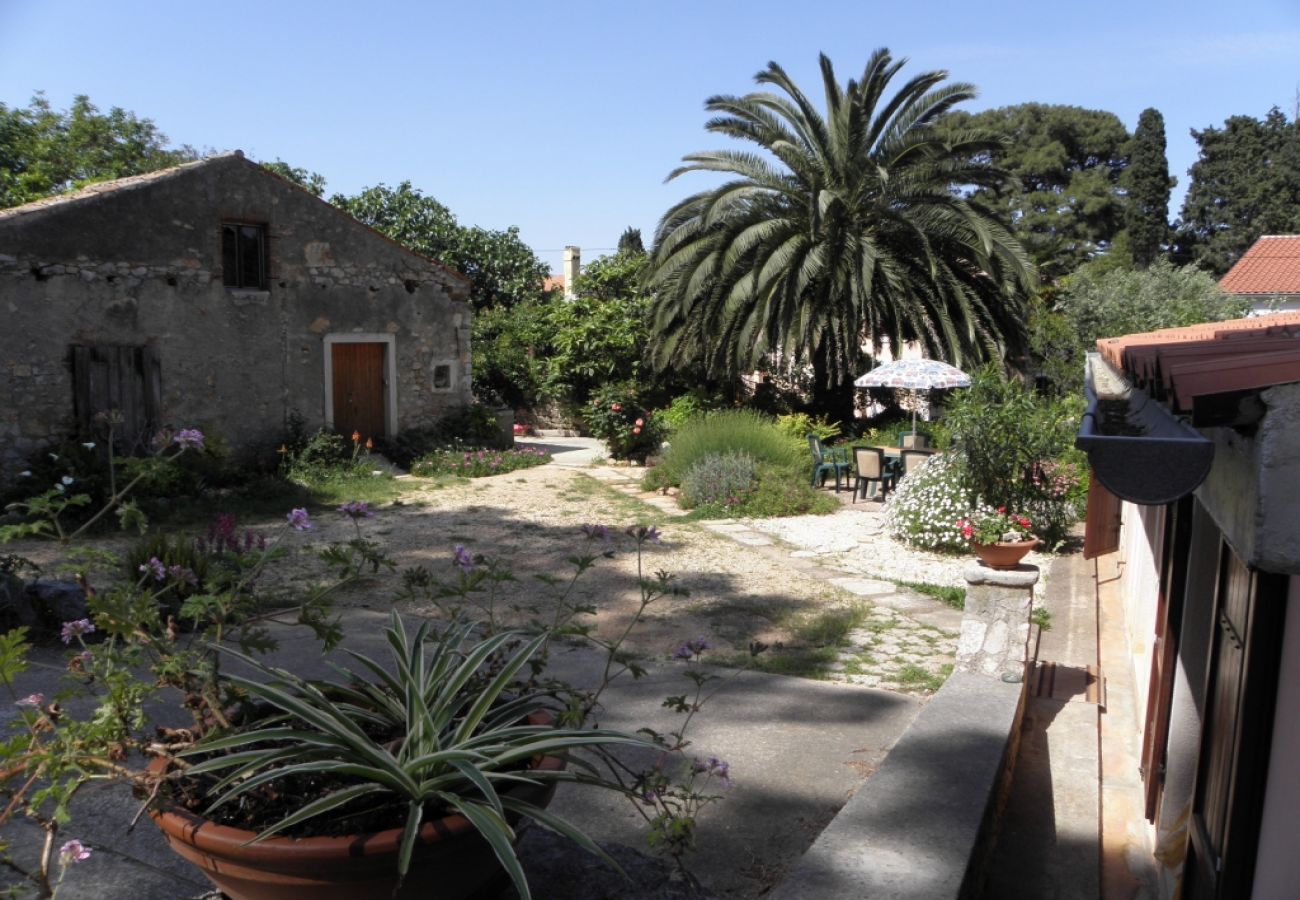 Ferienwohnung in Veli Lošinj - Ferienwohnung in Veli Lošinj mit Terrasse, Klimaanlage, W-LAN, Waschmaschine (63-2)