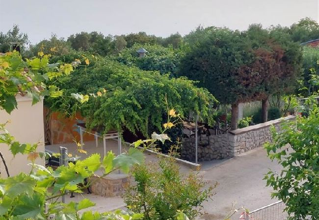 Ferienhaus in Miholašcica - Ferienhaus in Miholaščica mit Terrasse, Klimaanlage, W-LAN (66-1) Ferienhaus in Miholašcica - Ferienhaus in Miholaščica mit Terrasse, Klimaanlage, W-LAN (66-1)