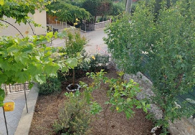 Ferienhaus in Miholašcica - Ferienhaus in Miholaščica mit Terrasse, Klimaanlage, W-LAN (66-1) Ferienhaus in Miholašcica - Ferienhaus in Miholaščica mit Terrasse, Klimaanlage, W-LAN (66-1)
