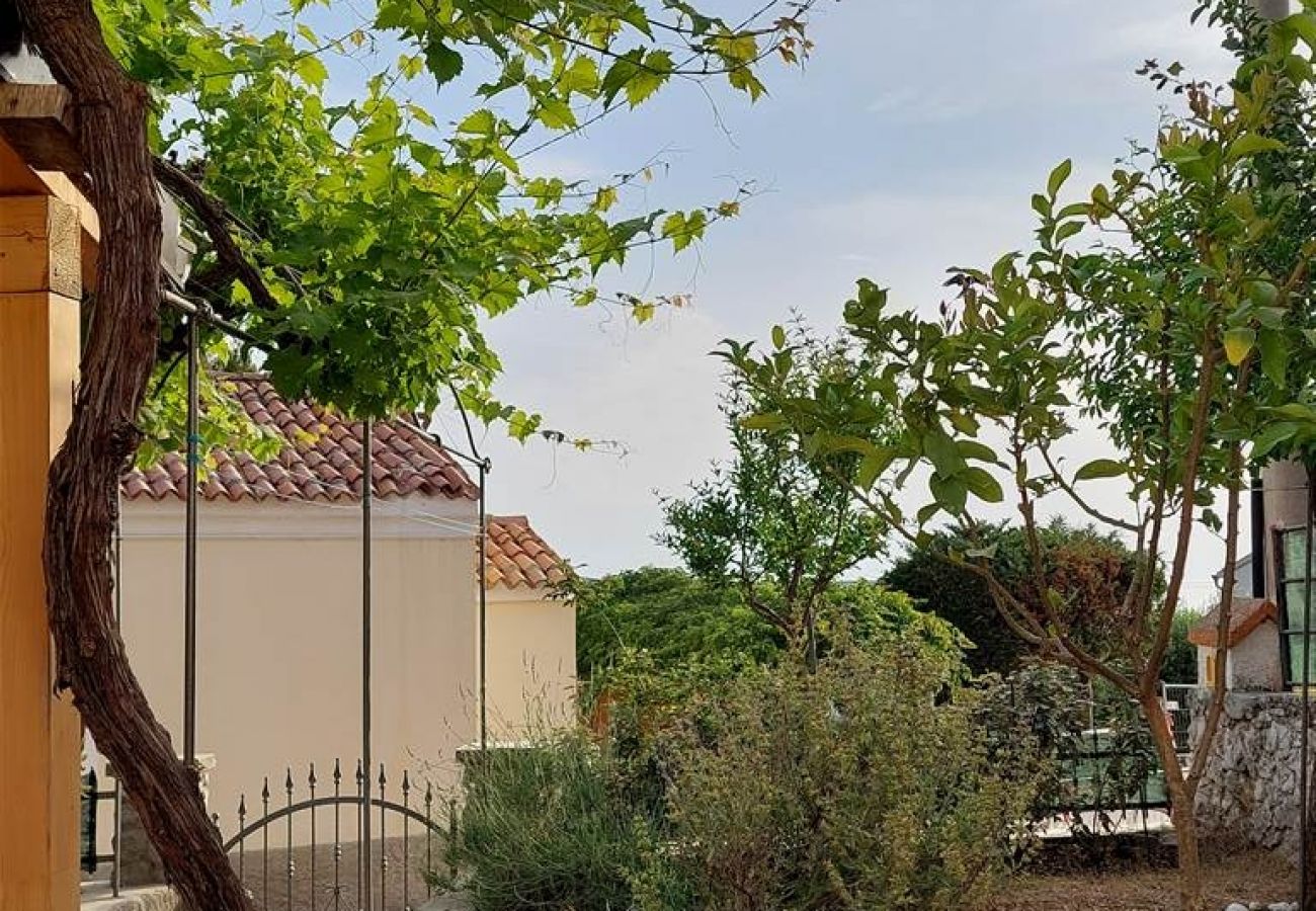 Ferienhaus in Miholašcica - Ferienhaus in Miholaščica mit Terrasse, Klimaanlage, W-LAN (66-1)