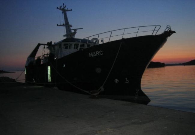 Studio in Tribunj - Studioapartment in Tribunj mit Meerblick, Balkon, Klimaanlage, W-LAN (68-1) Studio in Tribunj - Studioapartment in Tribunj mit Meerblick, Balkon, Klimaanlage, W-LAN (68-1)