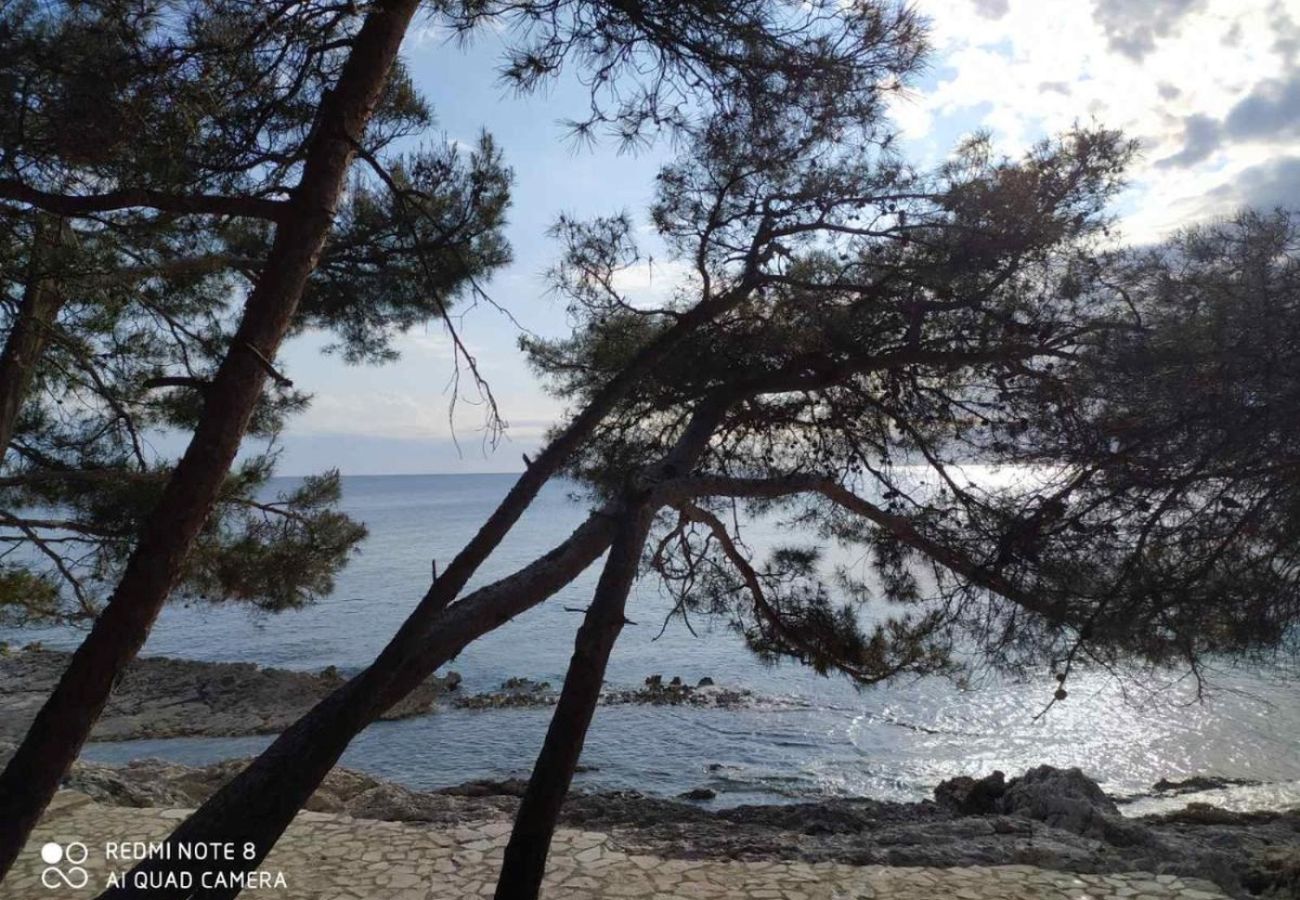 Ferienwohnung in Mali Lošinj - Ferienwohnung in Mali Lošinj mit Balkon, Klimaanlage, W-LAN (72-1)