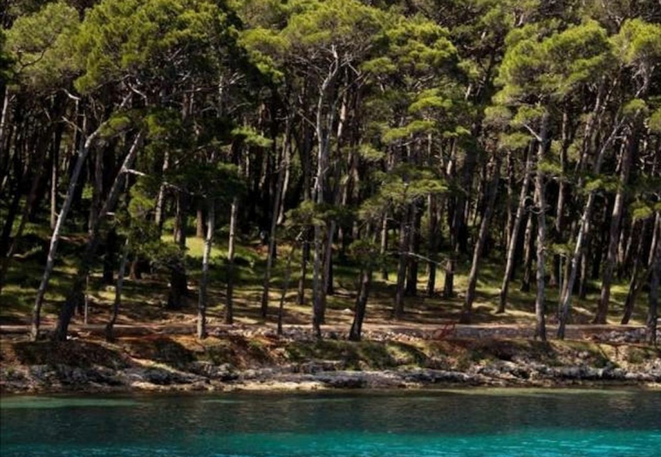 Ferienwohnung in Mali Lošinj - Ferienwohnung in Mali Lošinj mit Balkon, Klimaanlage, W-LAN (72-1)