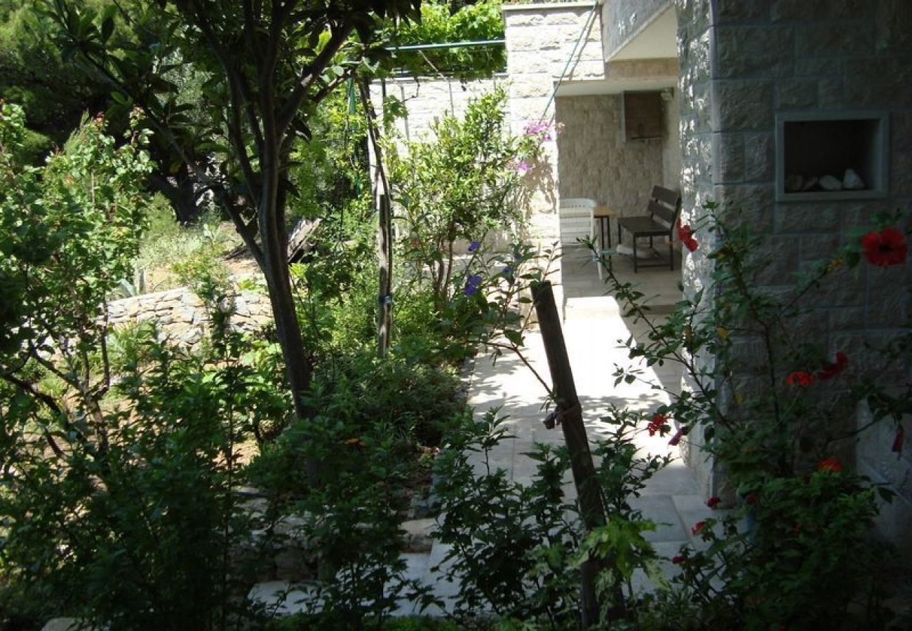 Ferienwohnung in Brela - Ferienwohnung in Brela mit Meerblick, Balkon, Klimaanlage, W-LAN (75-1)