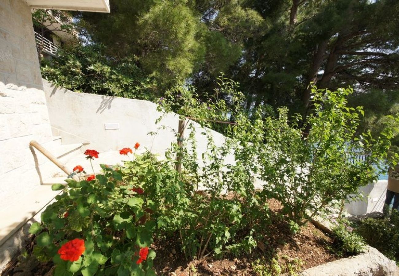 Ferienwohnung in Brela - Ferienwohnung in Brela mit Meerblick, Balkon, Klimaanlage, W-LAN (75-1)