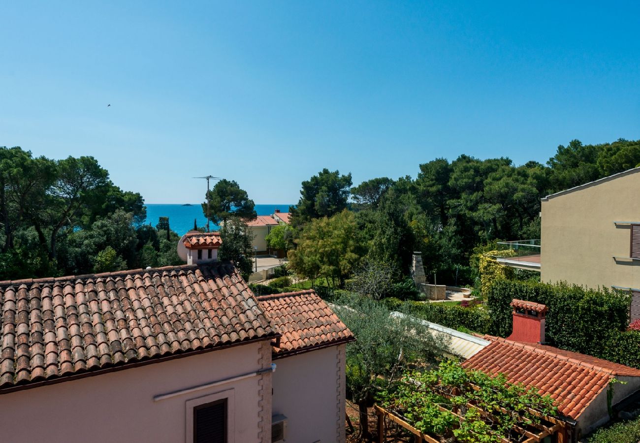 Ferienwohnung in Rovinj - Ferienwohnung in Rovinj mit Meerblick, Terrasse, Klimaanlage, W-LAN (96-5)