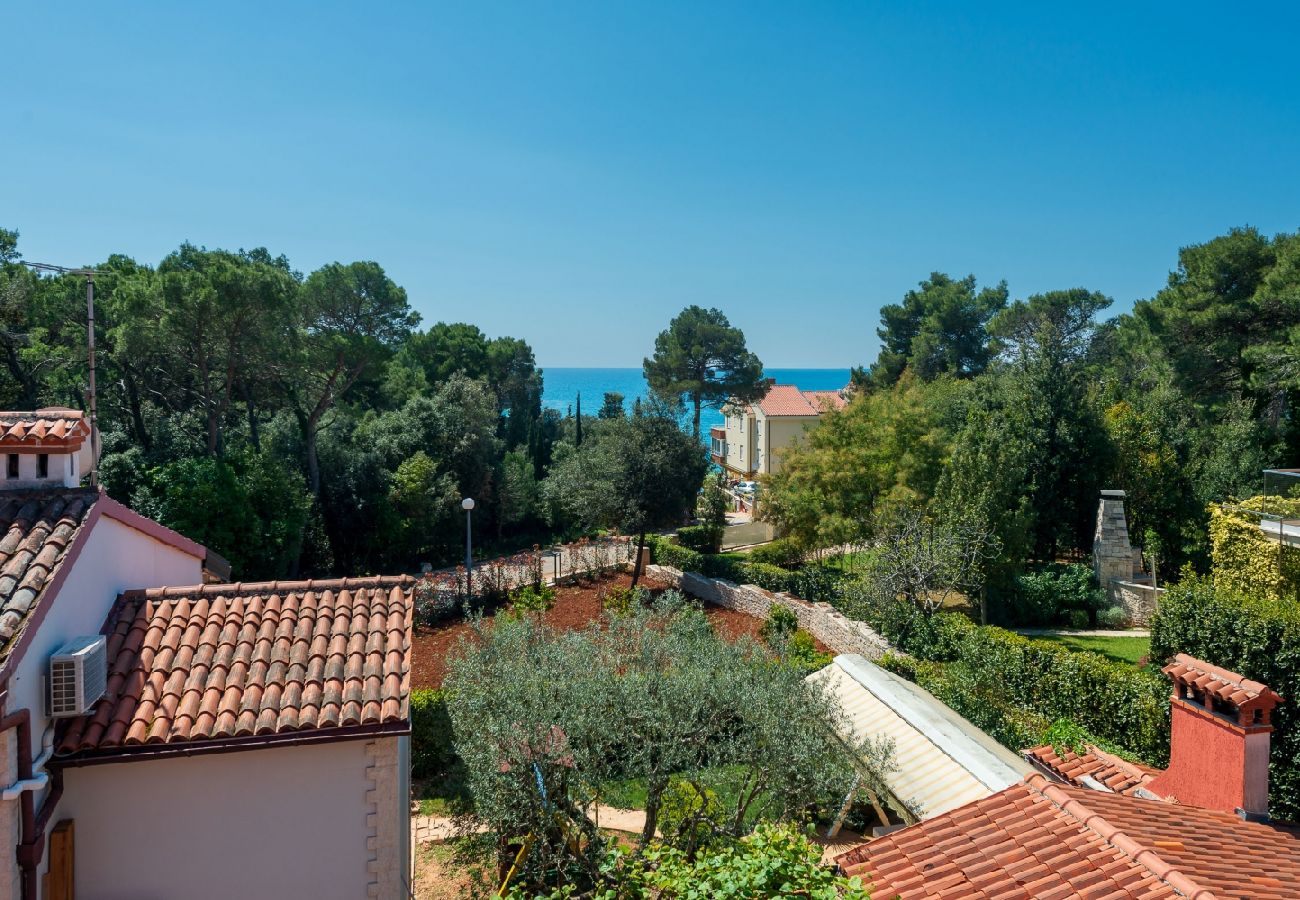 Ferienwohnung in Rovinj - Ferienwohnung in Rovinj mit Meerblick, Terrasse, Klimaanlage, W-LAN (96-5)