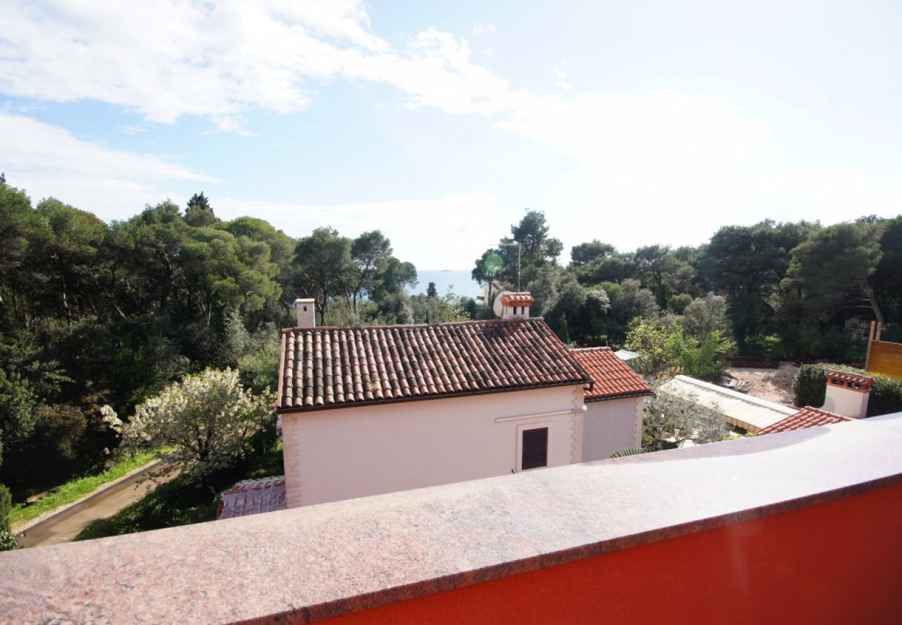 Ferienwohnung in Rovinj - Ferienwohnung in Rovinj mit Meerblick, Terrasse, Klimaanlage, W-LAN (96-5)