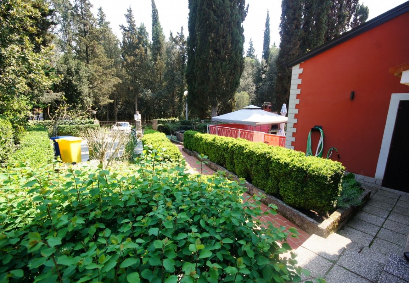 Ferienwohnung in Rovinj - Ferienwohnung in Rovinj mit Meerblick, Terrasse, Klimaanlage, W-LAN (96-5)