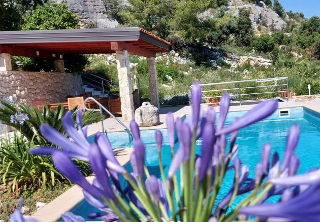 Ferienwohnung in Orebic - Ferienwohnung in Orebić mit Meerblick, Terrasse, Klimaanlage, W-LAN (114-2) Ferienwohnung in Orebic - Ferienwohnung in Orebić mit Meerblick, Terrasse, Klimaanlage, W-LAN (114-2)