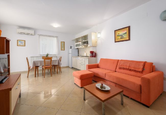 Ferienwohnung in Bašanija - Ferienwohnung in Bašanija mit Terrasse, Klimaanlage, W-LAN (113-1) Ferienwohnung in Bašanija - Ferienwohnung in Bašanija mit Terrasse, Klimaanlage, W-LAN (113-1)