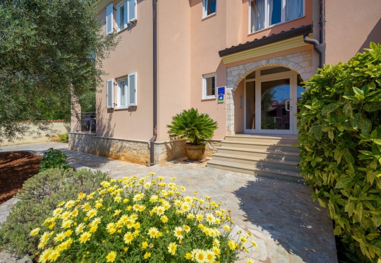 Ferienwohnung in Bašanija - Ferienwohnung in Bašanija mit Terrasse, Klimaanlage, W-LAN, Waschmaschine (113-1)