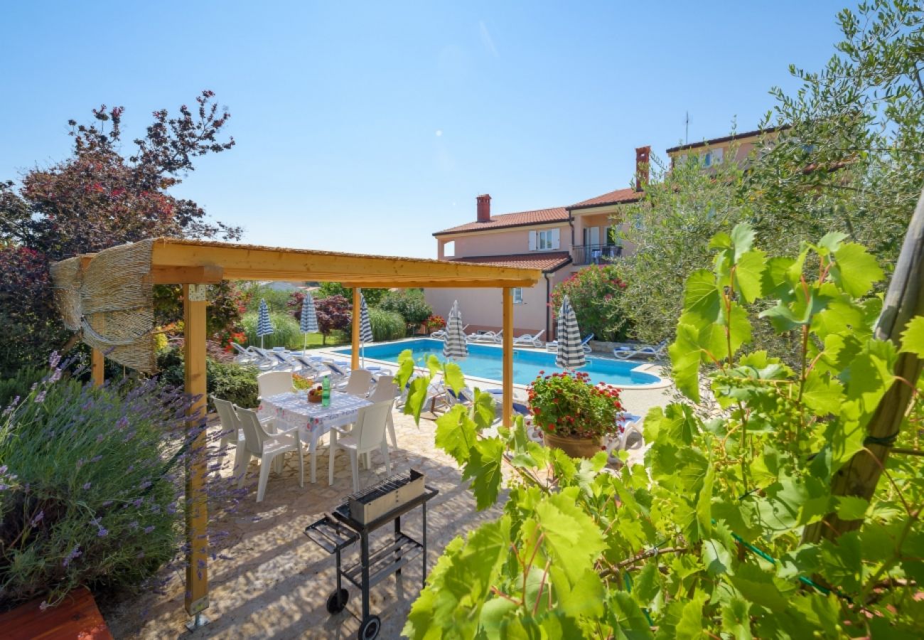 Ferienwohnung in Bašanija - Ferienwohnung in Bašanija mit Terrasse, Klimaanlage, W-LAN, Waschmaschine (113-1)