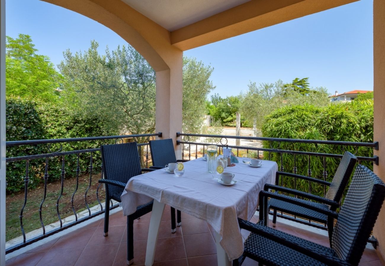 Ferienwohnung in Bašanija - Ferienwohnung in Bašanija mit Terrasse, Klimaanlage, W-LAN, Waschmaschine (113-2)