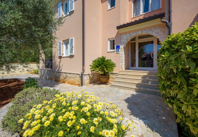 Ferienwohnung in Bašanija - Ferienwohnung in Bašanija mit Terrasse, Klimaanlage, W-LAN, Spülmaschine (113-4) Ferienwohnung in Bašanija - Ferienwohnung in Bašanija mit Terrasse, Klimaanlage, W-LAN, Spülmaschine (113-4)
