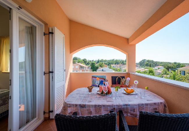 Ferienwohnung in Bašanija - Ferienwohnung in Bašanija mit Meerblick, Terrasse, Klimaanlage, W-LAN (113-6) Ferienwohnung in Bašanija - Ferienwohnung in Bašanija mit Meerblick, Terrasse, Klimaanlage, W-LAN (113-6)