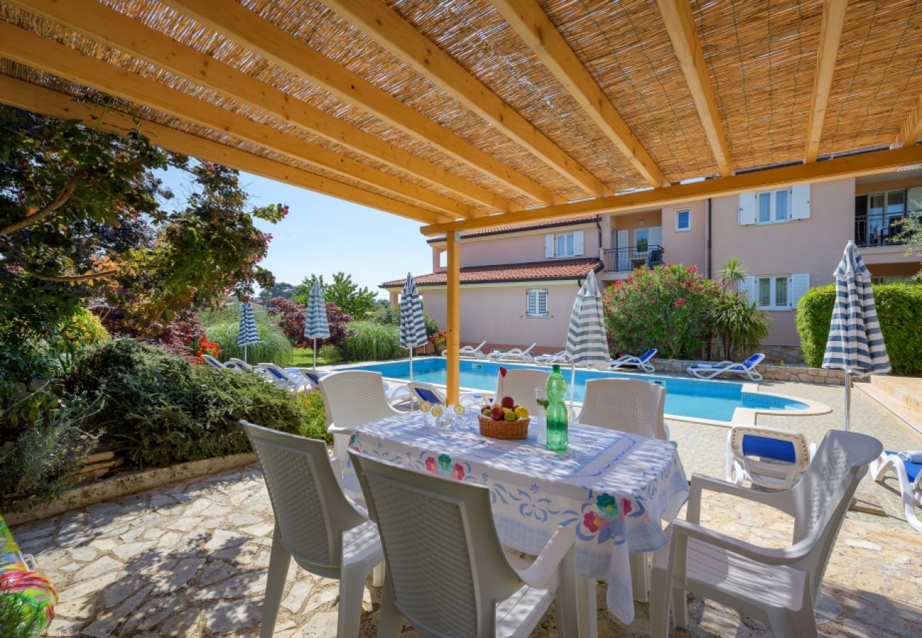 Ferienwohnung in Bašanija - Ferienwohnung in Bašanija mit Meerblick, Terrasse, Klimaanlage, W-LAN (113-6)