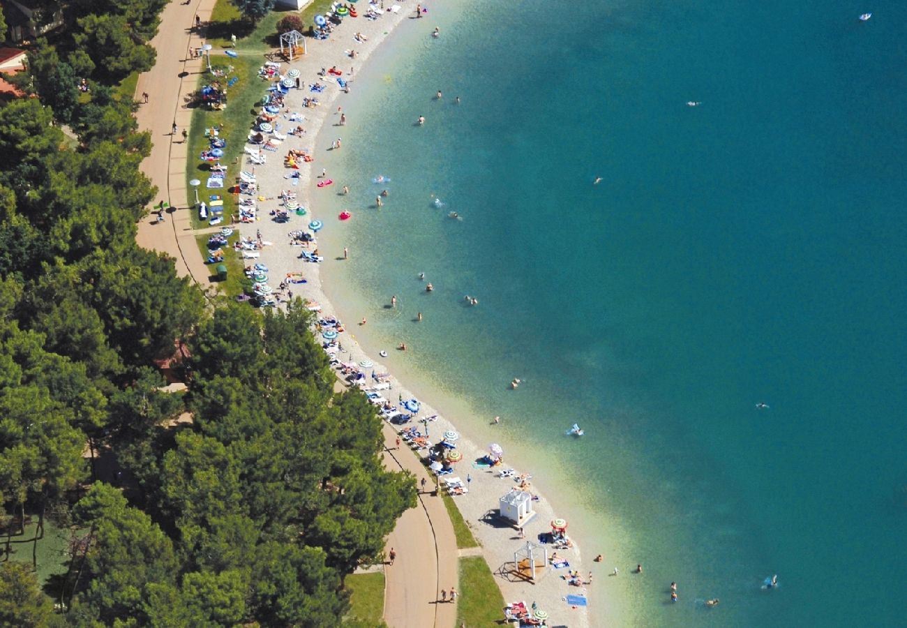 Ferienwohnung in Bašanija - Ferienwohnung in Bašanija mit Meerblick, Terrasse, Klimaanlage, W-LAN (113-6)