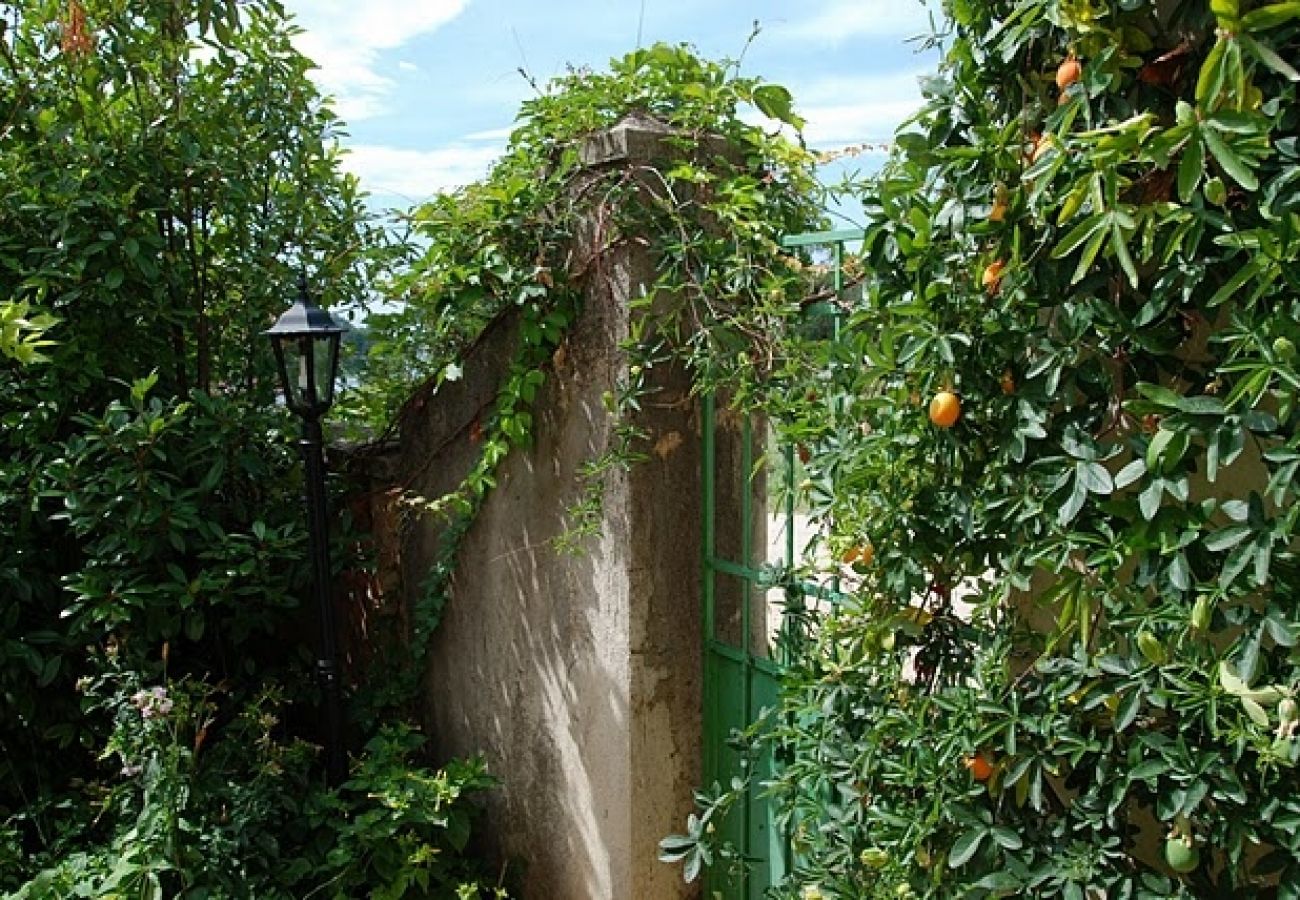 Ferienwohnung in Savudrija - Ferienwohnung in Savudrija mit Meerblick, Terrasse, Klimaanlage, W-LAN (123-5)