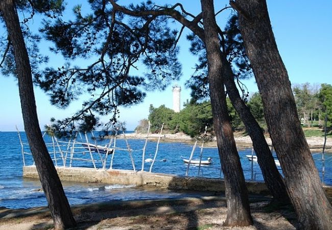 Studio in Savudrija - Studioapartment in Savudrija mit Meerblick, Terrasse, Klimaanlage, W-LAN (123-10) Studio in Savudrija - Studioapartment in Savudrija mit Meerblick, Terrasse, Klimaanlage, W-LAN (123-10)