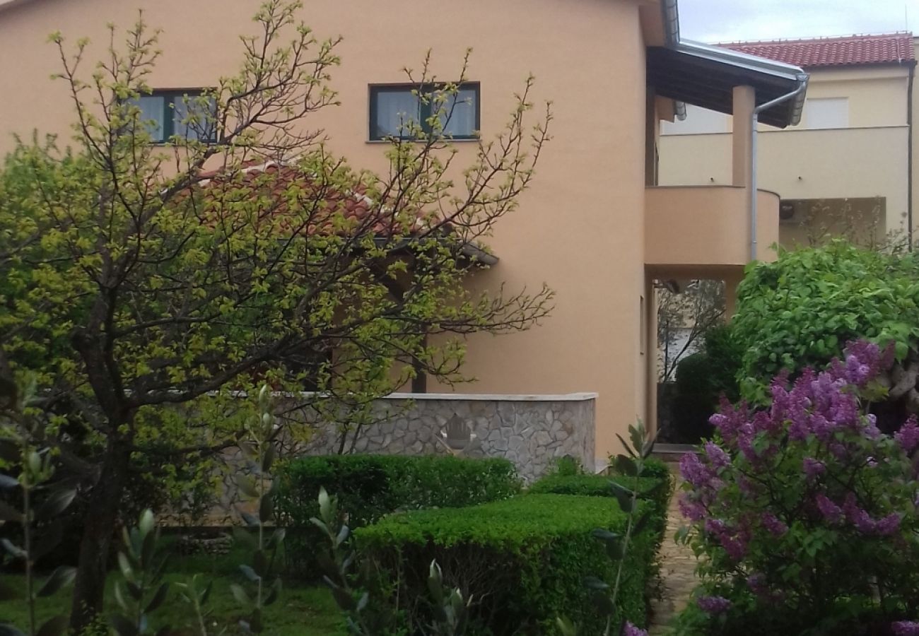 Ferienwohnung in Murter - Ferienwohnung in Murter mit Meerblick, Terrasse, Klimaanlage, W-LAN (125-2)