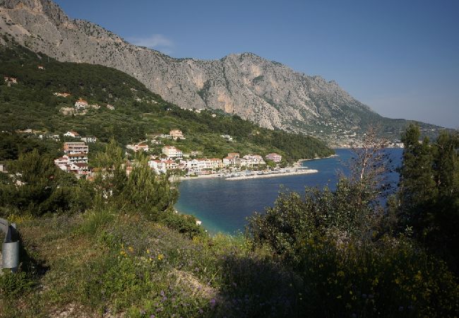 Ferienwohnung in Podgora - Ferienwohnung in Podgora mit Meerblick, Loggia, Klimaanlage, W-LAN (134-1) Ferienwohnung in Podgora - Ferienwohnung in Podgora mit Meerblick, Loggia, Klimaanlage, W-LAN (134-1)